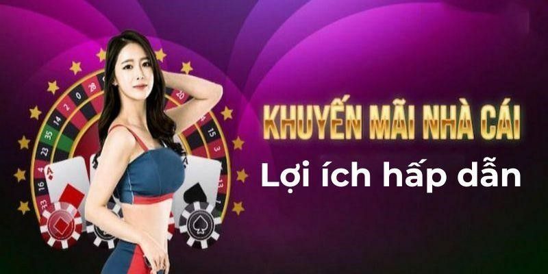 Nhận khuyến mãi, hỗ trợ cá cược không giới hạn tại 188BET