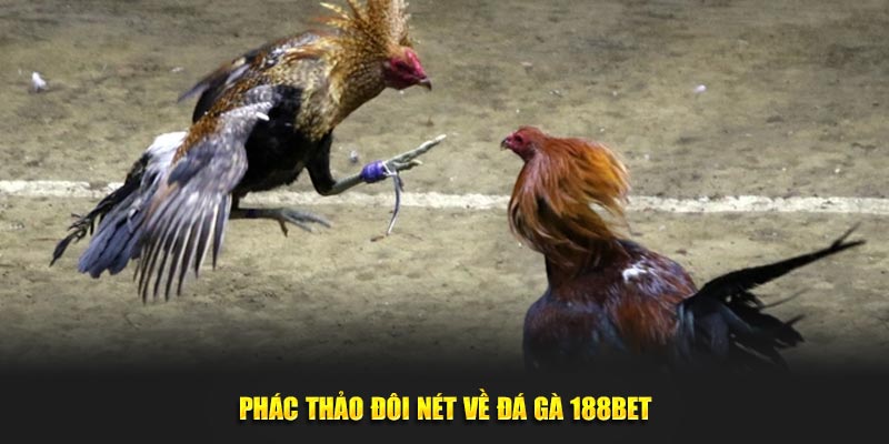 Phác thảo đôi nét về đá gà 188BET